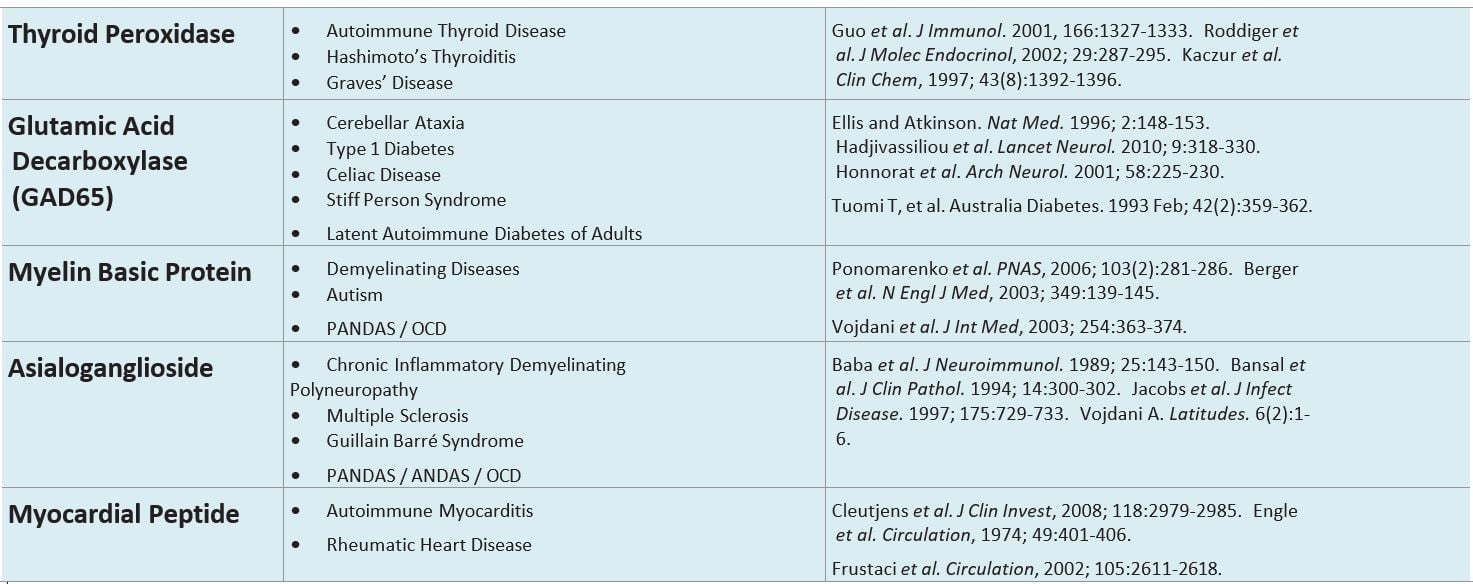 Thyroid Autoimmunity What You Need to Know